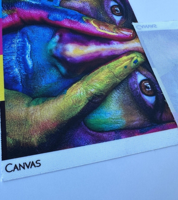 Canvas