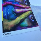 Canvas
