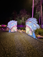 nublikum-erikuju plaadid